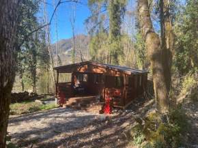 Mon Chalet dans les bois Villard-Saint-Sauveur